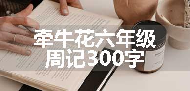 牵牛花六年级周记300字