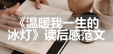 《温暖我一生的冰灯》读后感范文