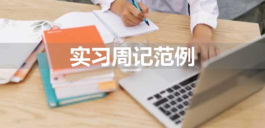 实习周记范例