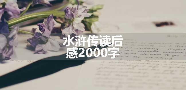 水浒传读后感2000字