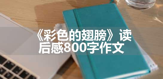 《彩色的翅膀》读后感800字作文