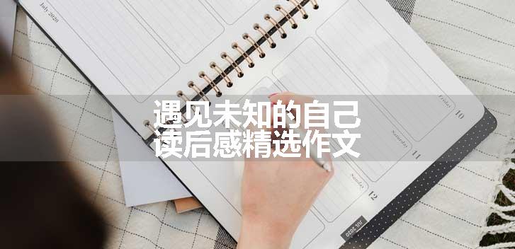 遇见未知的自己读后感精选作文