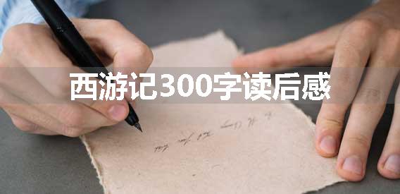 西游记300字读后感