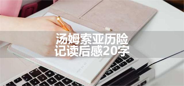 汤姆索亚历险记读后感20字