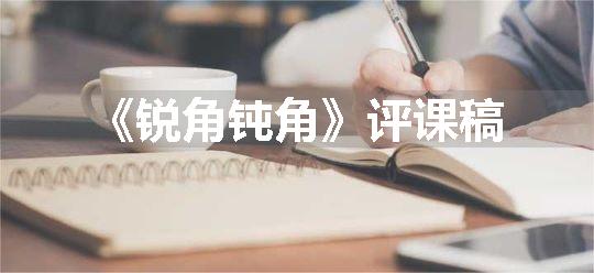 《锐角钝角》评课稿