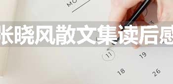 张晓风散文集读后感