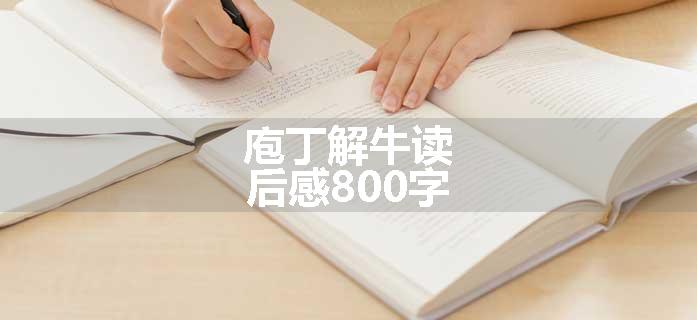 庖丁解牛读后感800字