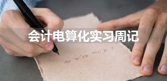 会计电算化实习周记