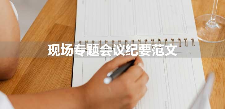 现场专题会议纪要范文