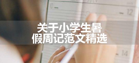 关于小学生暑假周记范文精选