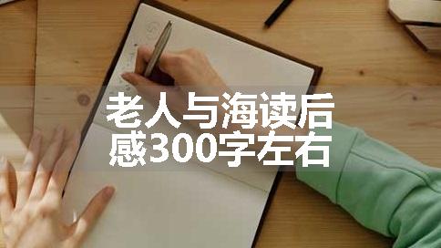 老人与海读后感300字左右