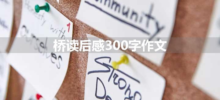 桥读后感300字作文