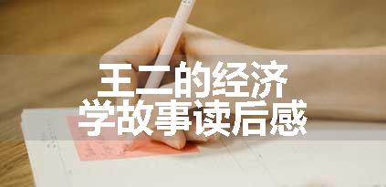王二的经济学故事读后感
