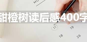 甜橙树读后感400字