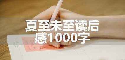 夏至未至读后感1000字