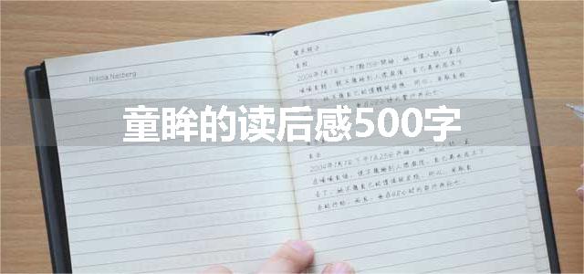 童眸的读后感500字