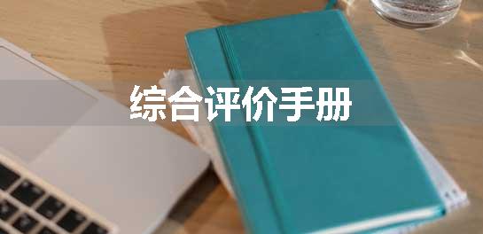 综合评价手册