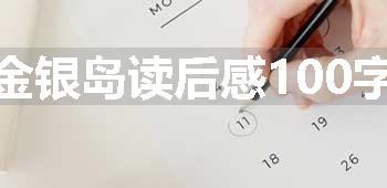 金银岛读后感100字